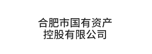 合肥市國(guó)有資產(chǎn)控股有限公司